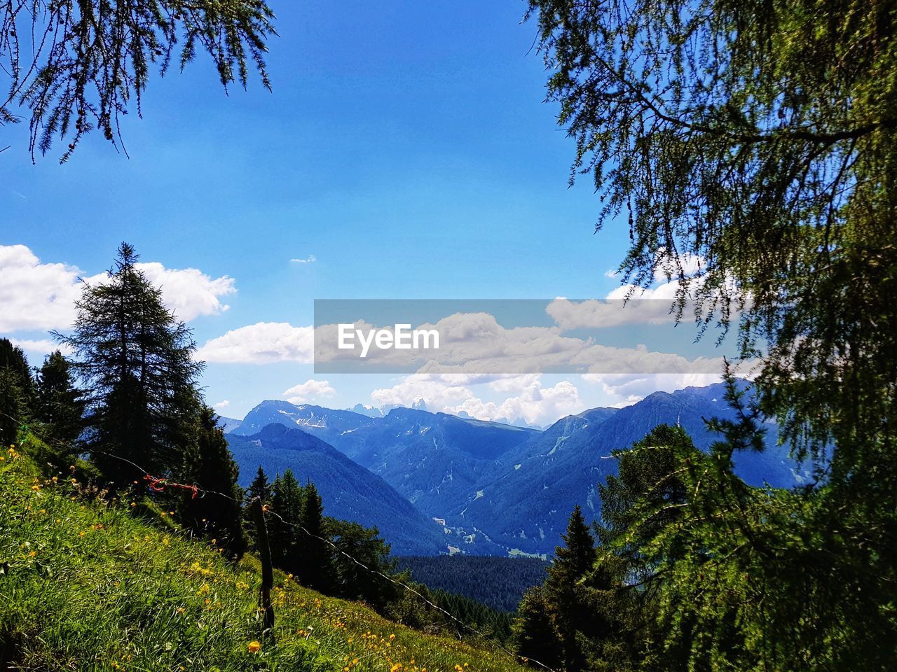 SCENIC VIEW OF TREES AND MOUNTAINS AGAINST SKY