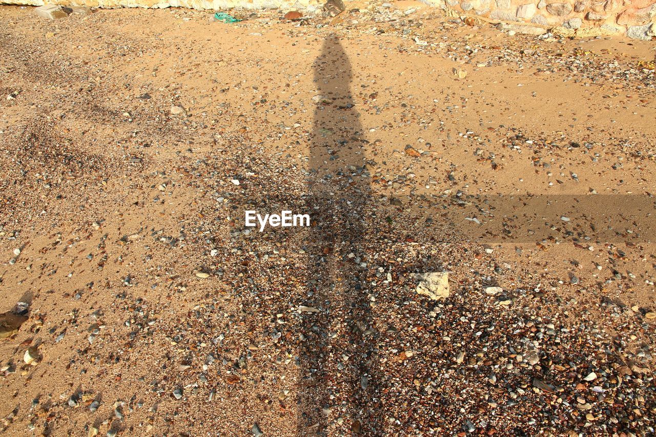 HIGH ANGLE VIEW OF SHADOW ON GROUND