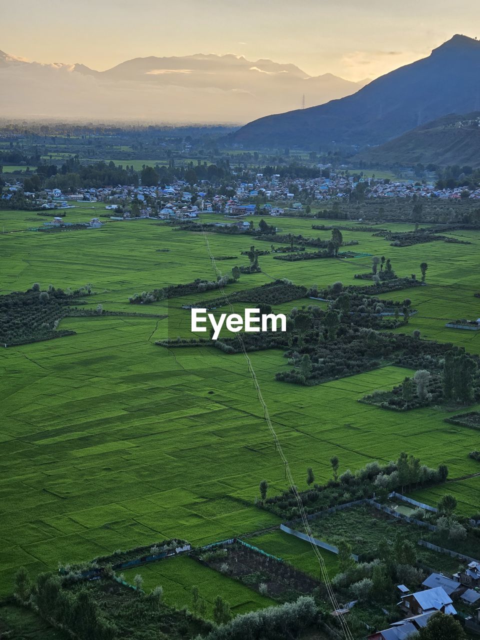 landscape, land, environment, nature, scenics - nature, green, beauty in nature, water, plant, tranquility, rural scene, no people, aerial photography, field, agriculture, growth, day, tranquil scene, aerial view, terrain, outdoors, panoramic, non-urban scene, tree, farm, idyllic, crop