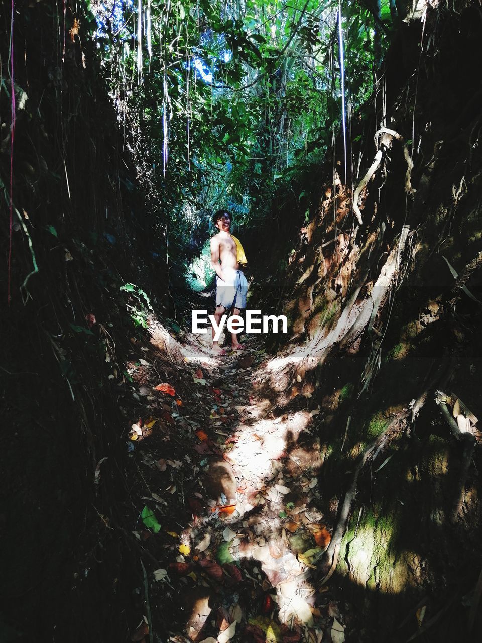 FULL LENGTH OF MAN STANDING ON TREE IN FOREST