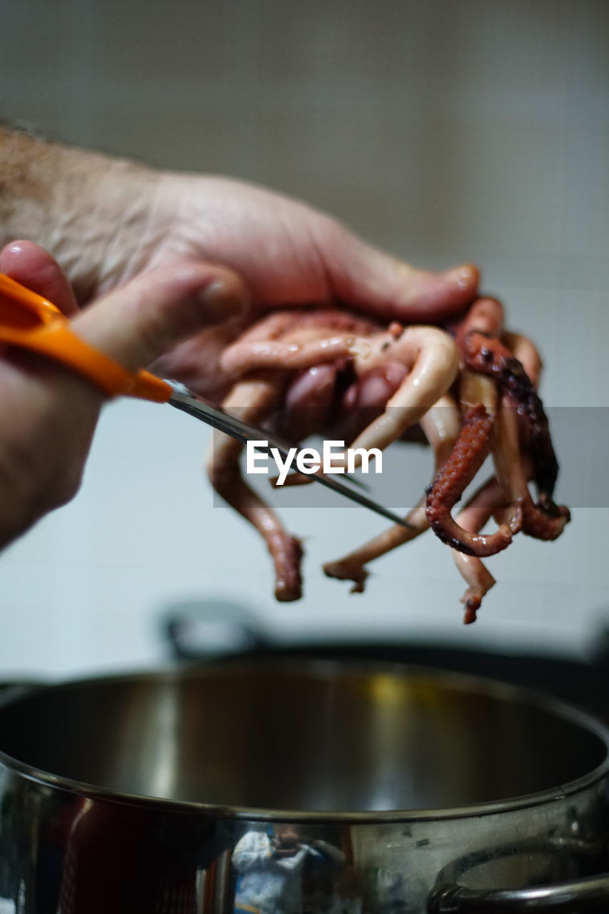 Close-up of hand cutting tentacles over saucepan in kitchen