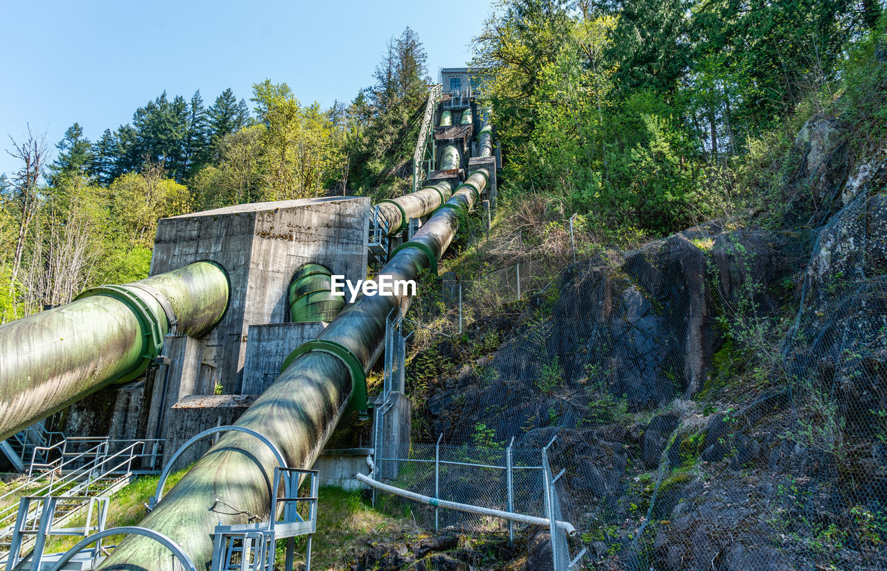 plant, tree, pipeline transport, nature, pipe - tube, no people, pipeline, day, architecture, park, outdoors, transport, metal, forest, sky, power generation, built structure, green