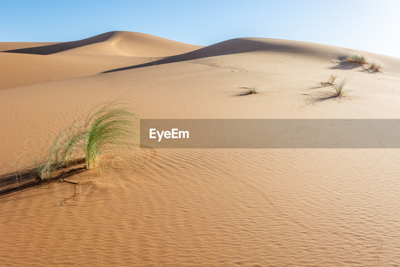 Scenic view of desert against clear sky