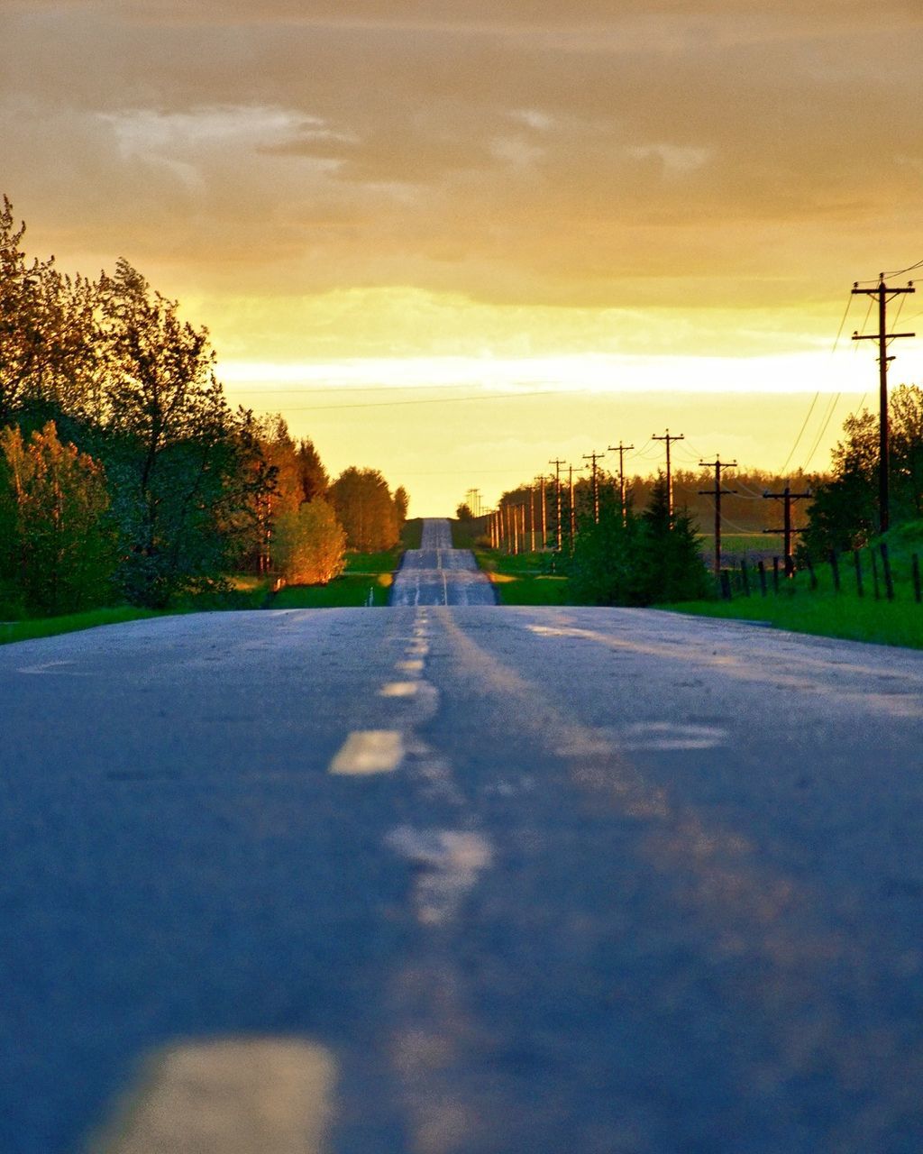 Road amidst trees against sky during sunset