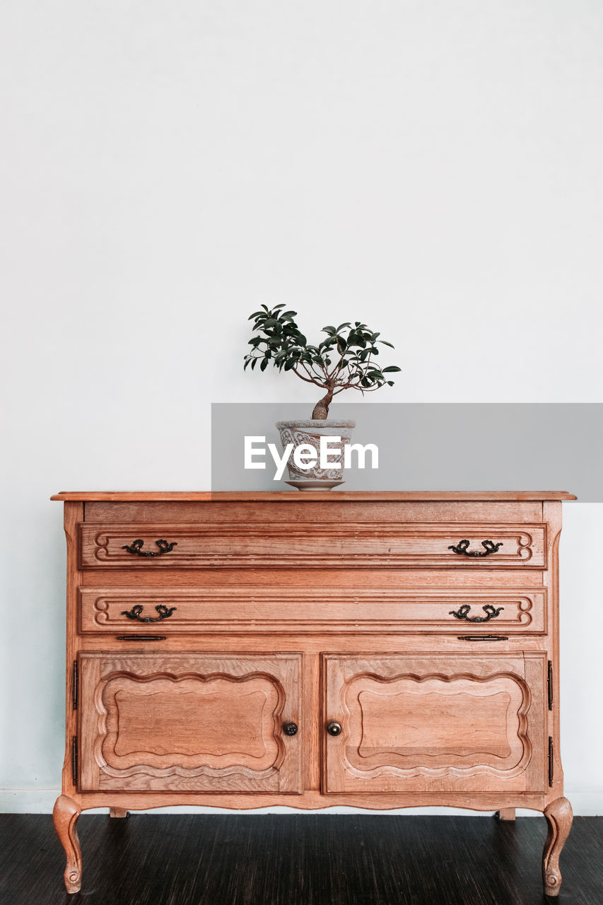 Potted plant on table against wall at home