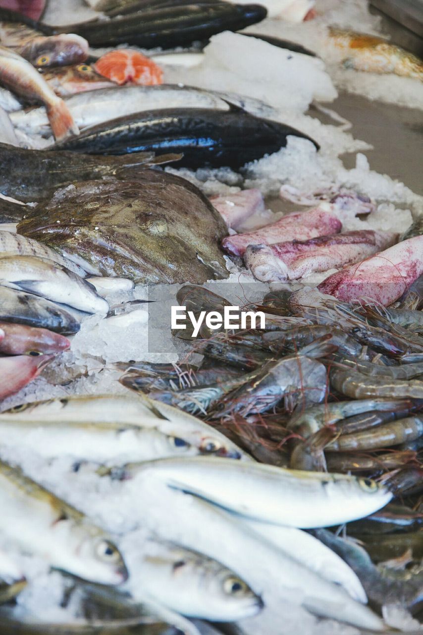 CLOSE-UP OF FISHES IN MARKET