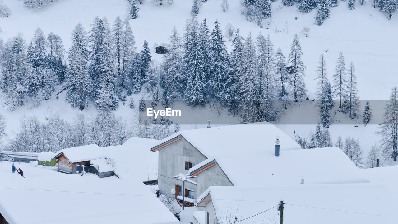 SNOW COVERED TREES ON MOUNTAIN