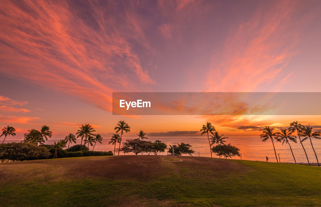 Scenic view of hawaiian beach during sunset