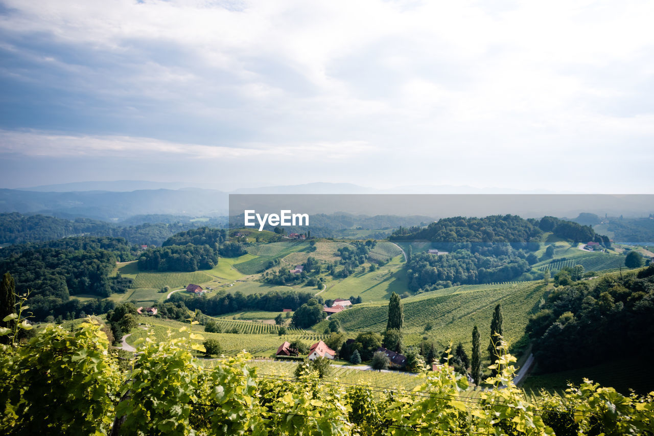 Scenic view of agricultural field against sky