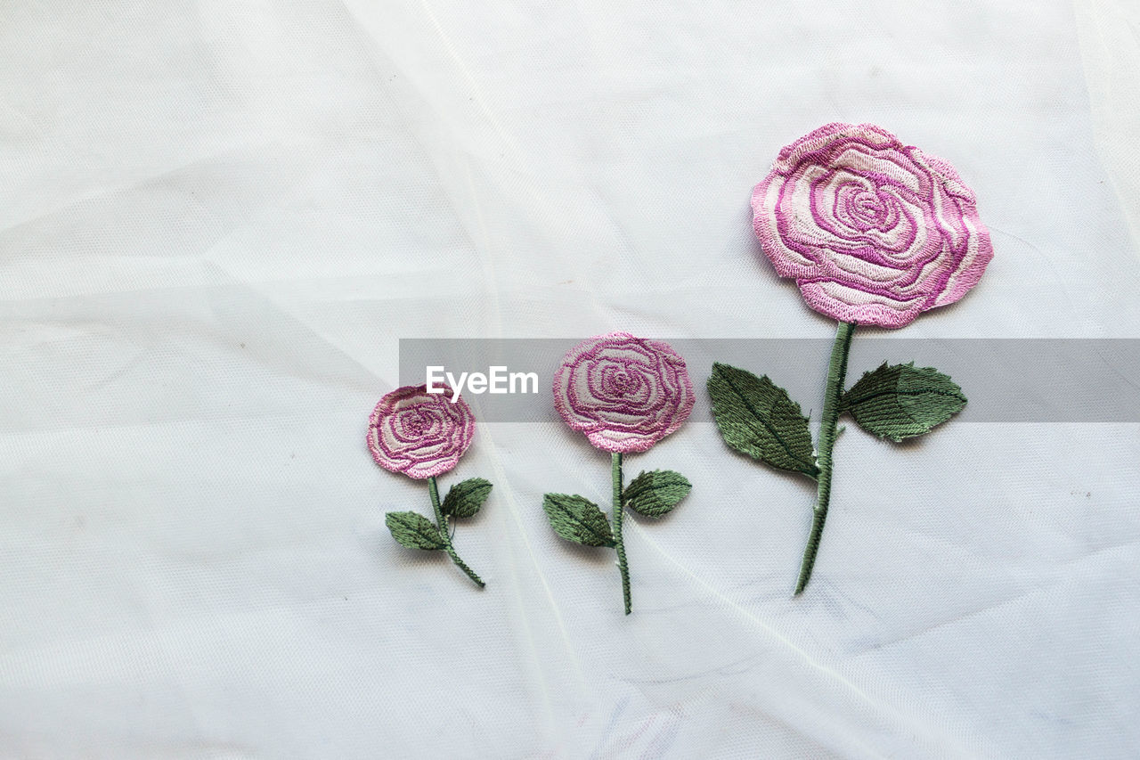 HIGH ANGLE VIEW OF ROSES ON TABLE