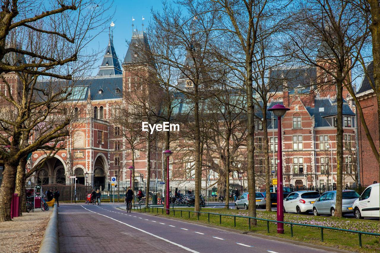 ROAD BY TREES AND BUILDINGS IN CITY