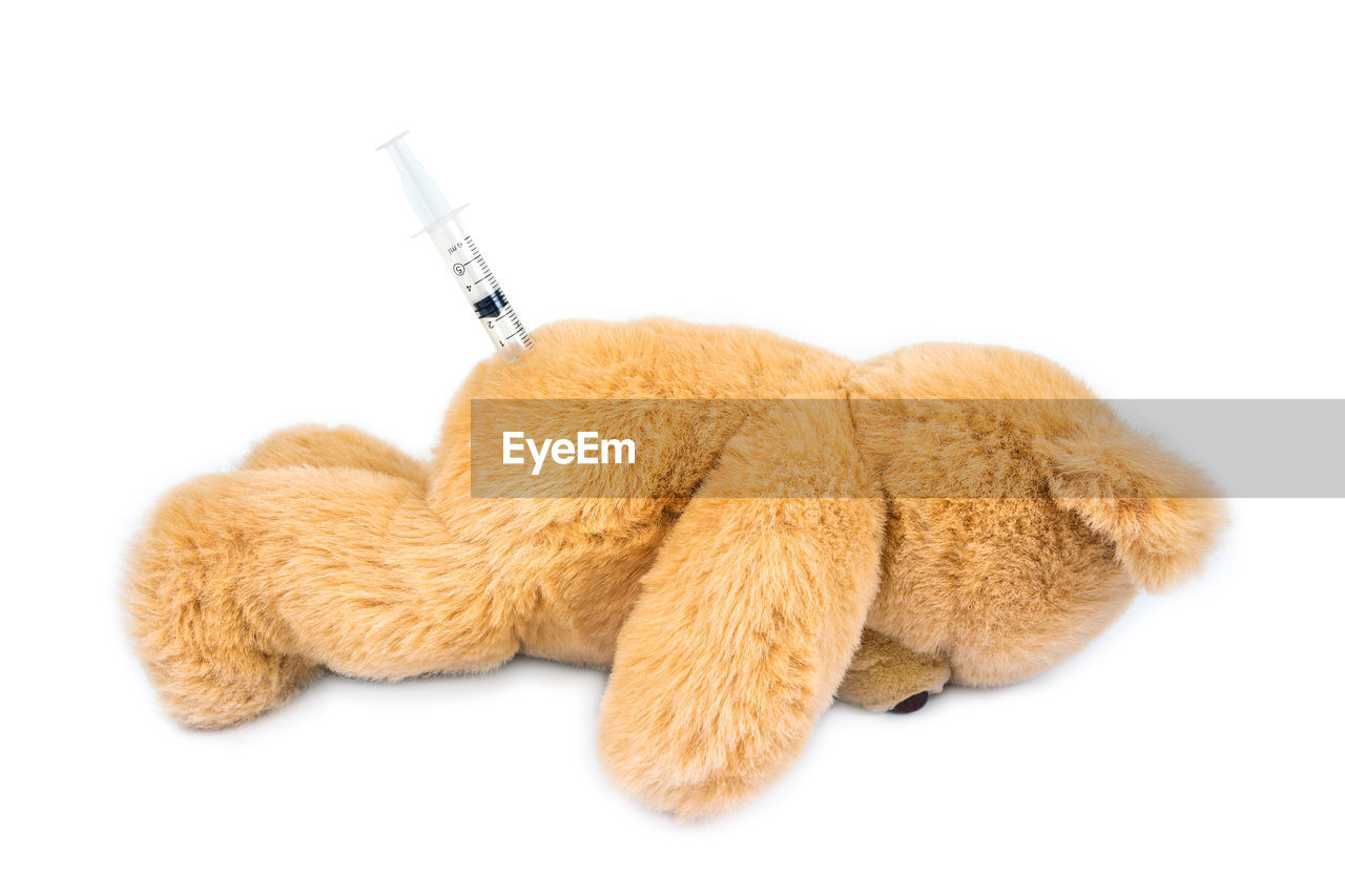 CLOSE-UP OF STUFFED TOY ON WHITE BACKGROUND
