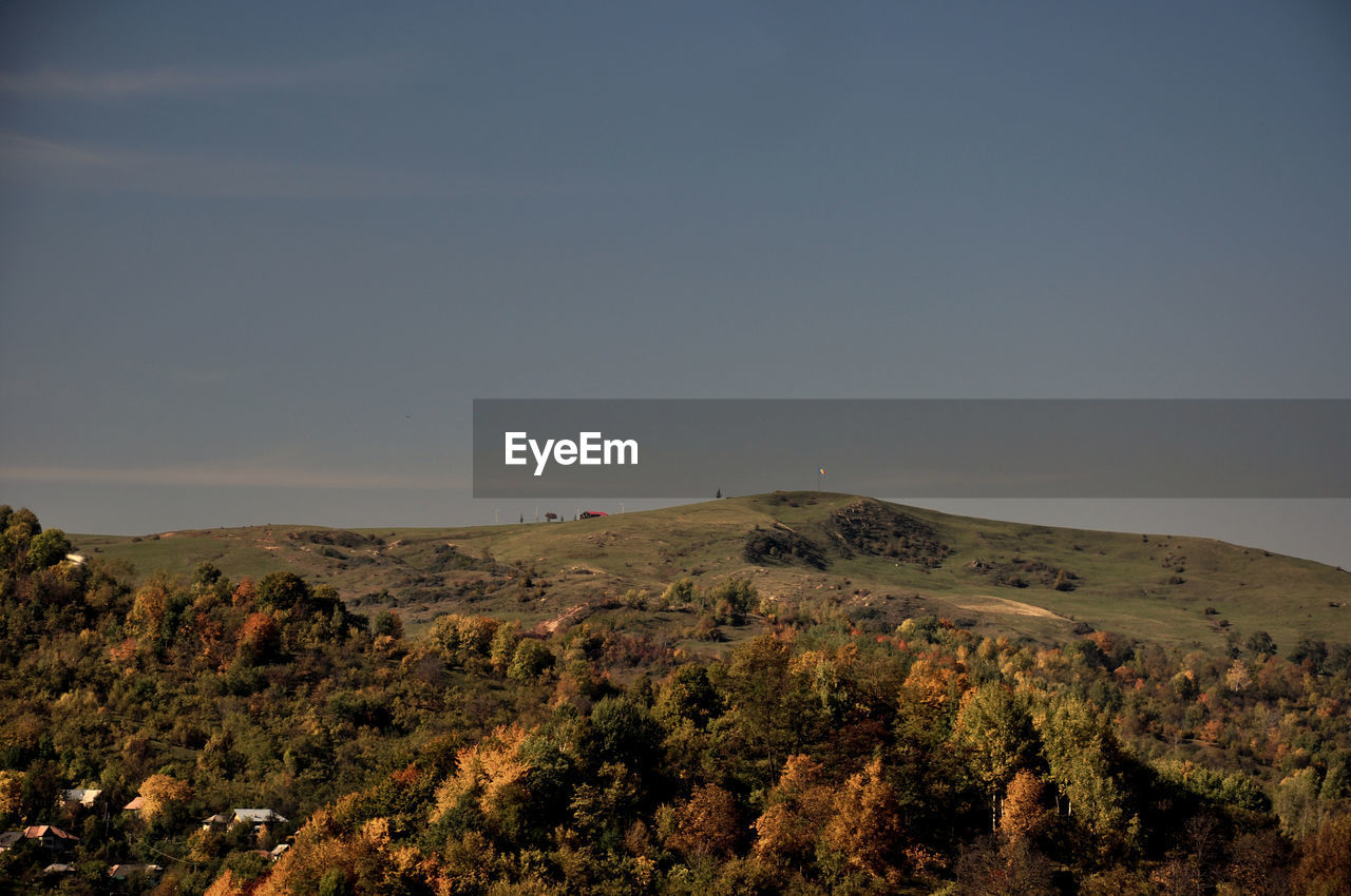 Trees on mountain during autumn against blue sky