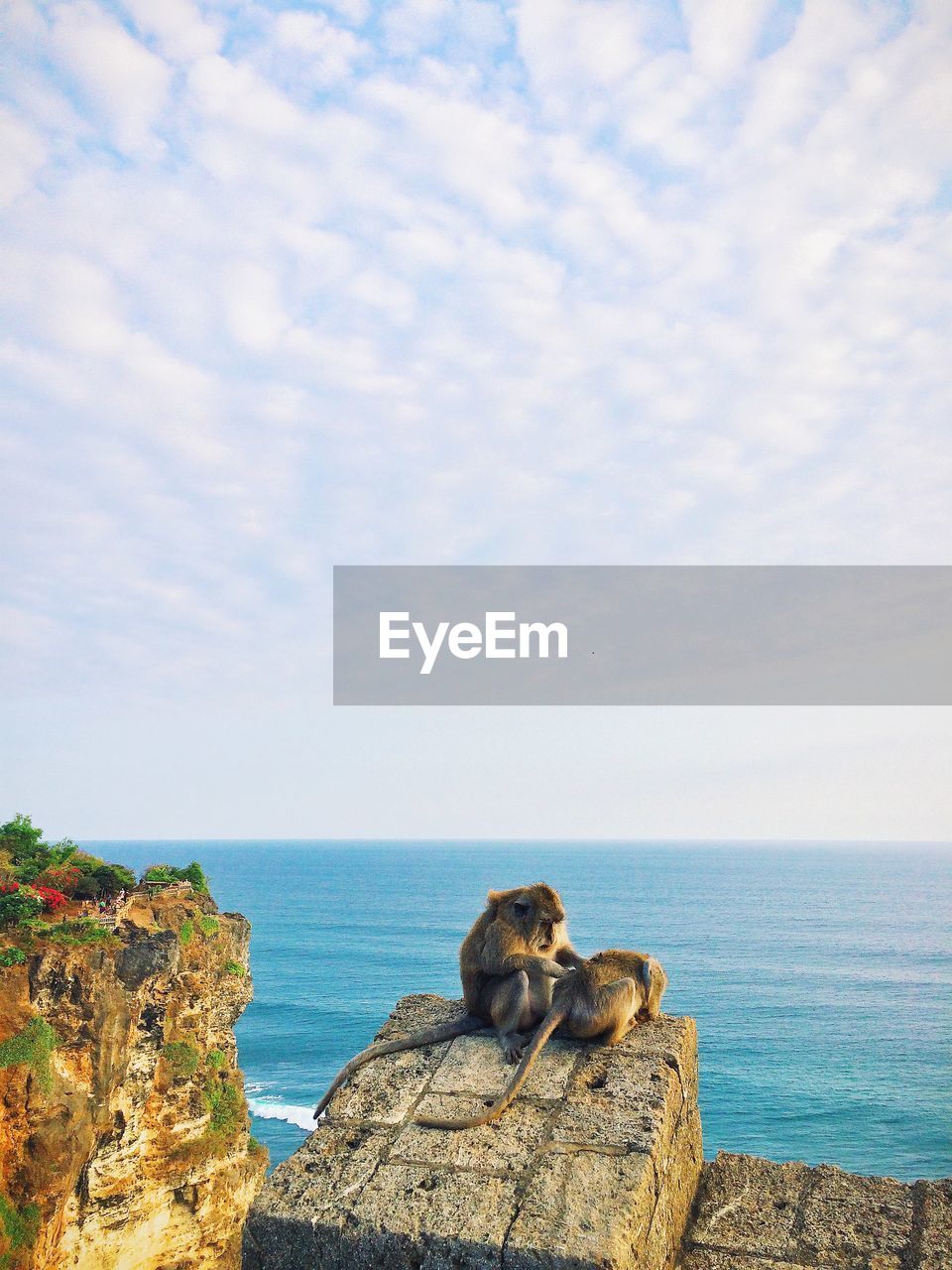 VIEW OF A ROCK AGAINST SEA