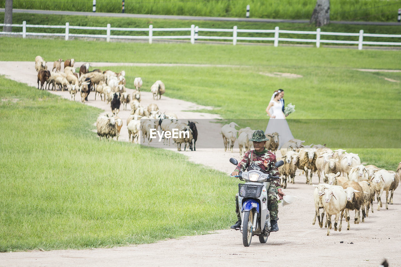 PEOPLE RIDING MOTORCYCLE ON ROAD