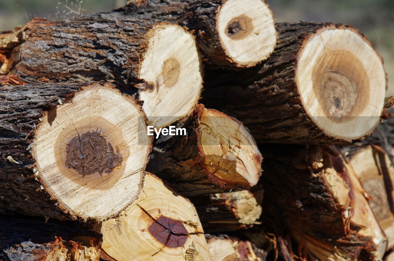 FULL FRAME SHOT OF LOGS