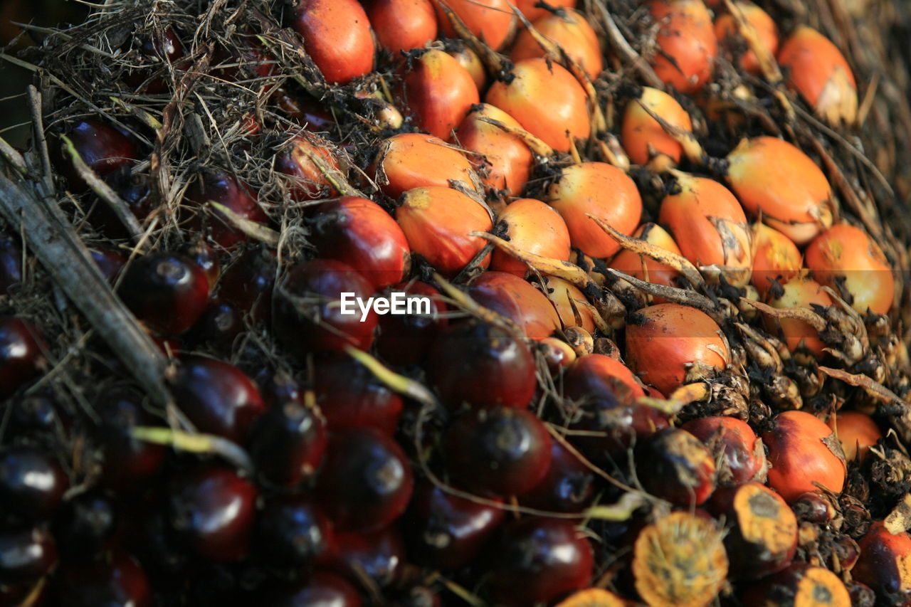 Full frame shot of fruits