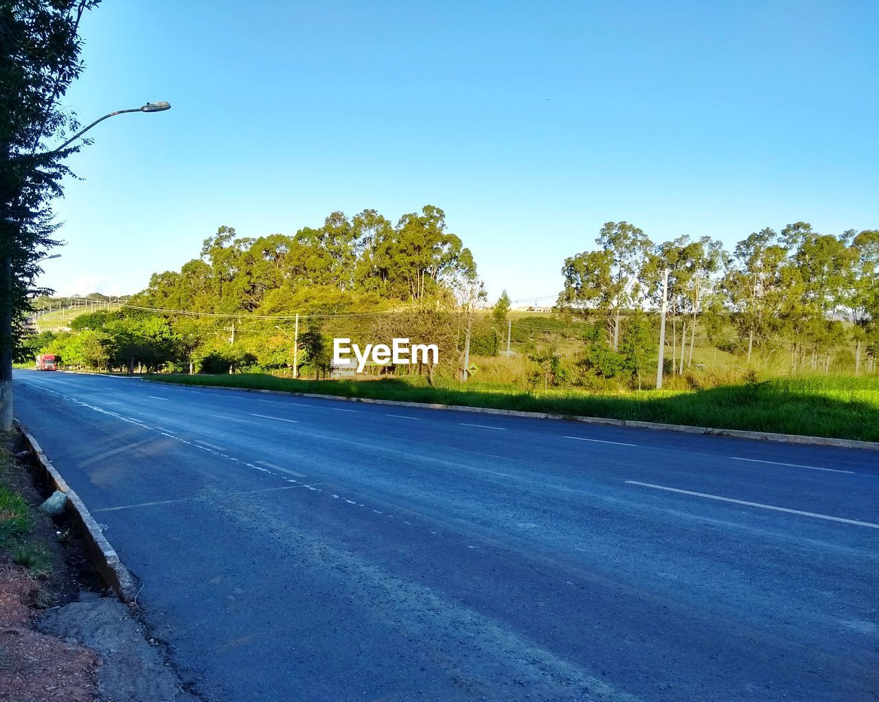 ROAD BY TREES AGAINST CLEAR SKY