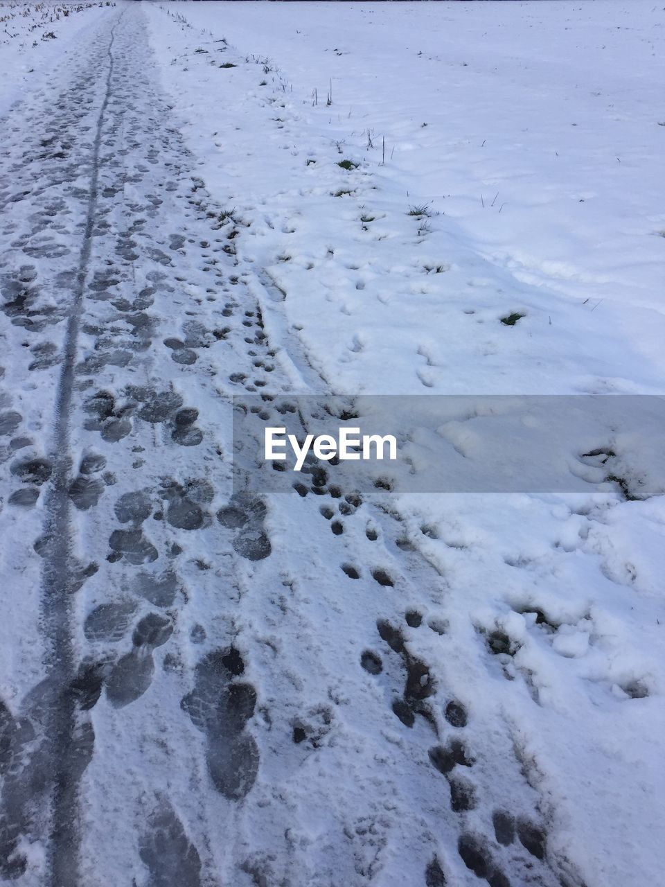 CLOSE-UP OF FROZEN WATER IN WINTER