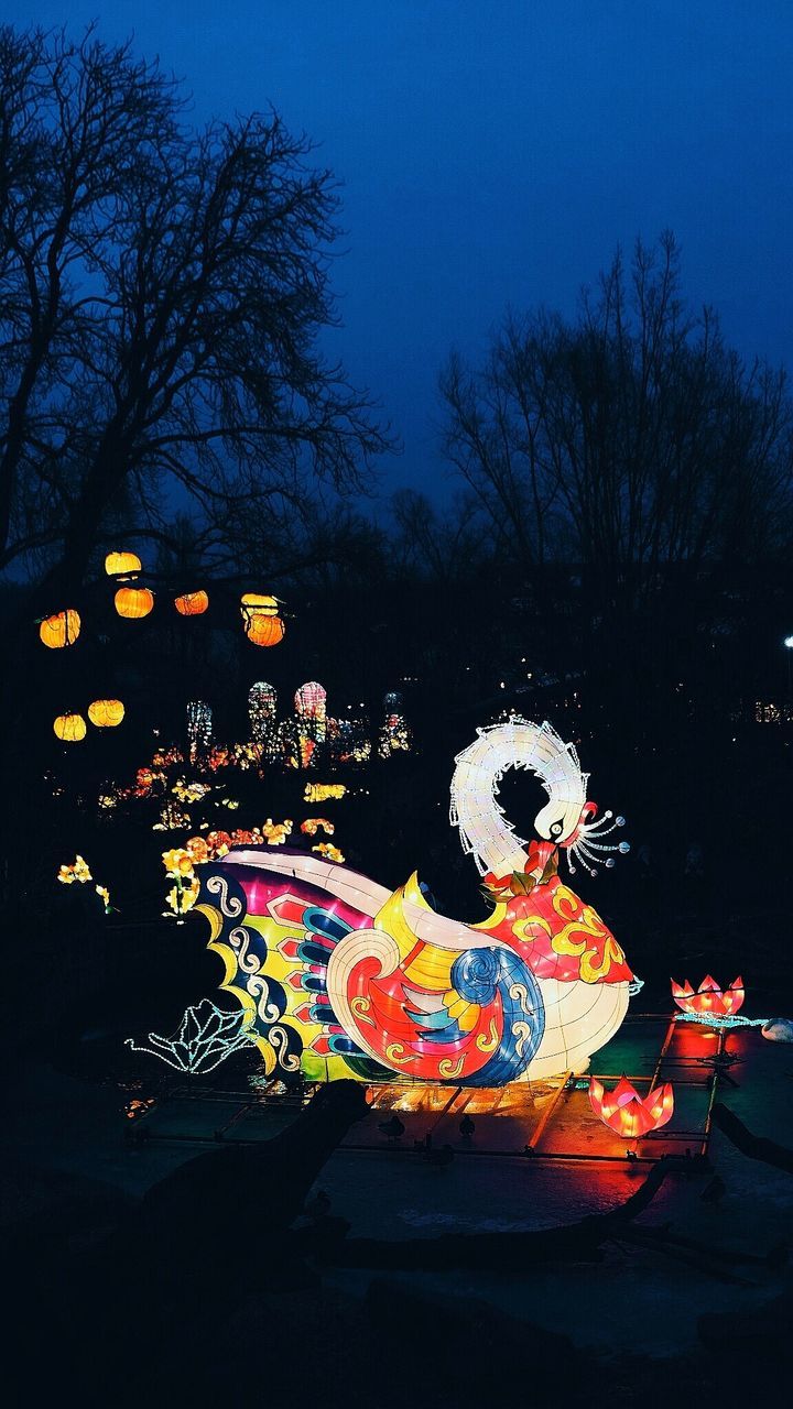 ILLUMINATED LANTERNS ON TREE AT NIGHT