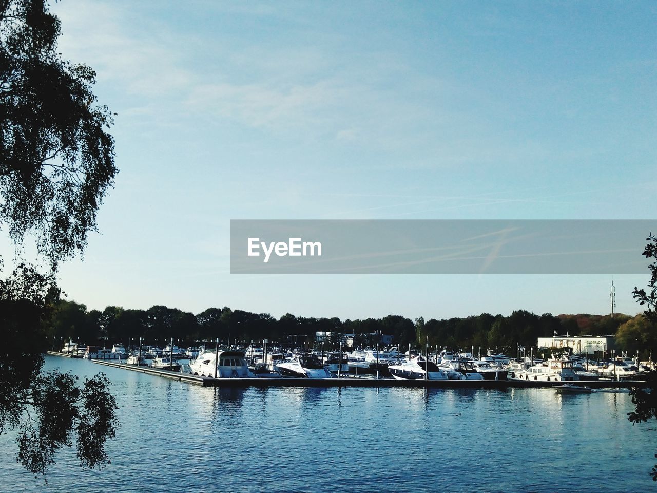 Sailboats moored at harbor against sky