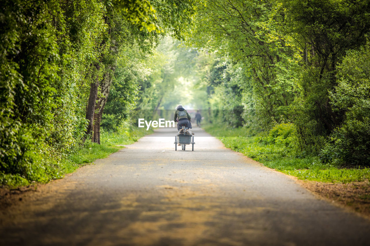 Rear view of person riding bicycle on road in forest