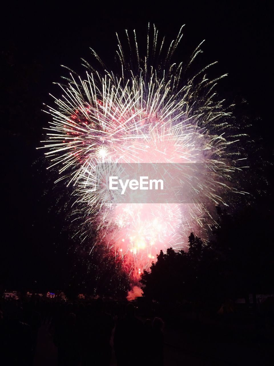 LOW ANGLE VIEW OF FIREWORKS EXPLODING IN NIGHT SKY