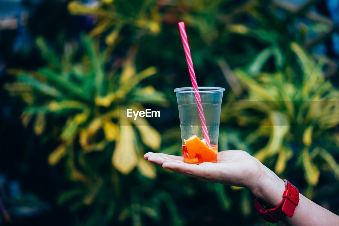 Close-up of hand holding drink in against plants