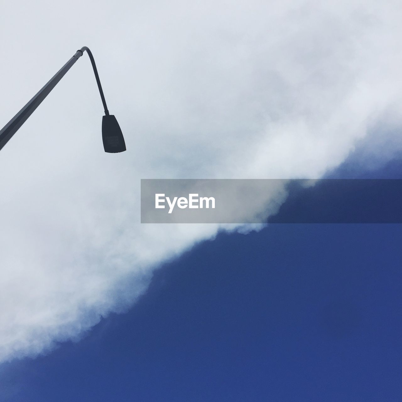 LOW ANGLE VIEW OF TREES AGAINST SKY