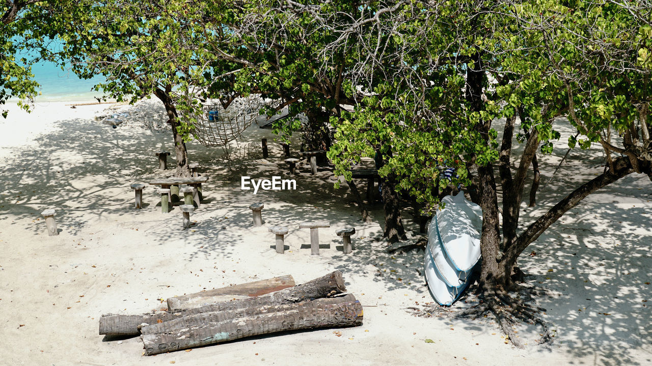 tree, plant, nature, no people, day, land, sand, water, sunlight, outdoors, beach, growth, tranquility, beauty in nature