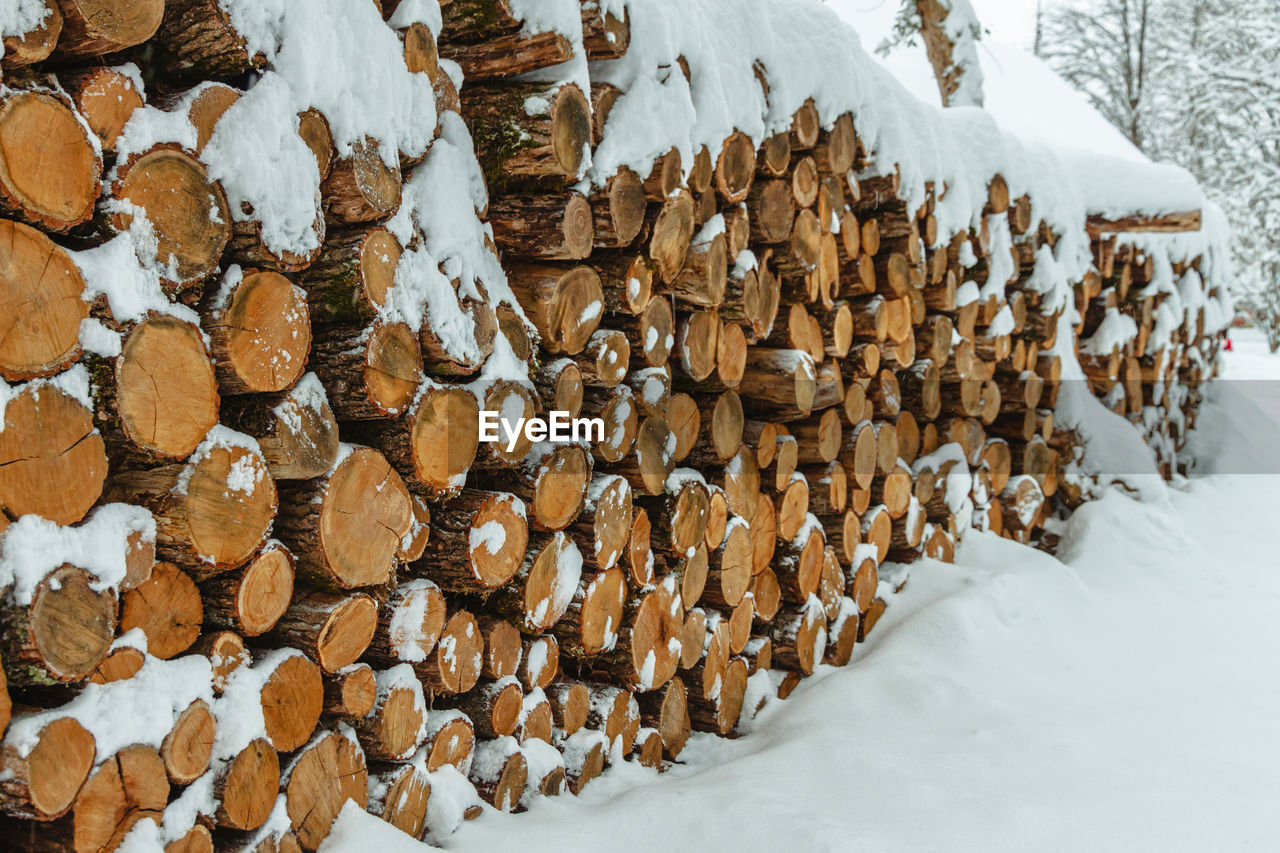 A pile of logs of sawn trees gathered together lying covered with snow
