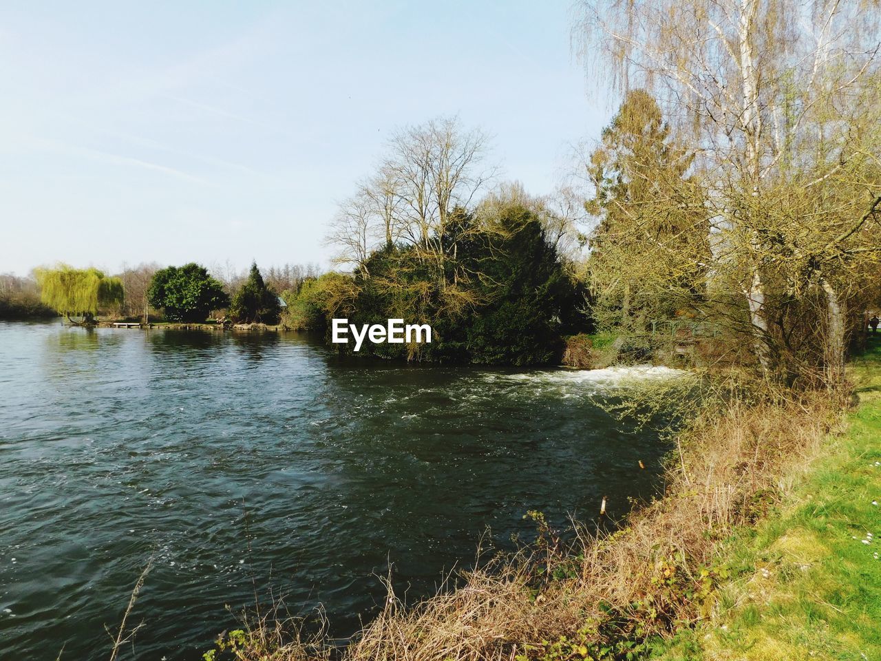 SCENIC VIEW OF LAKE AGAINST TREES IN FOREST