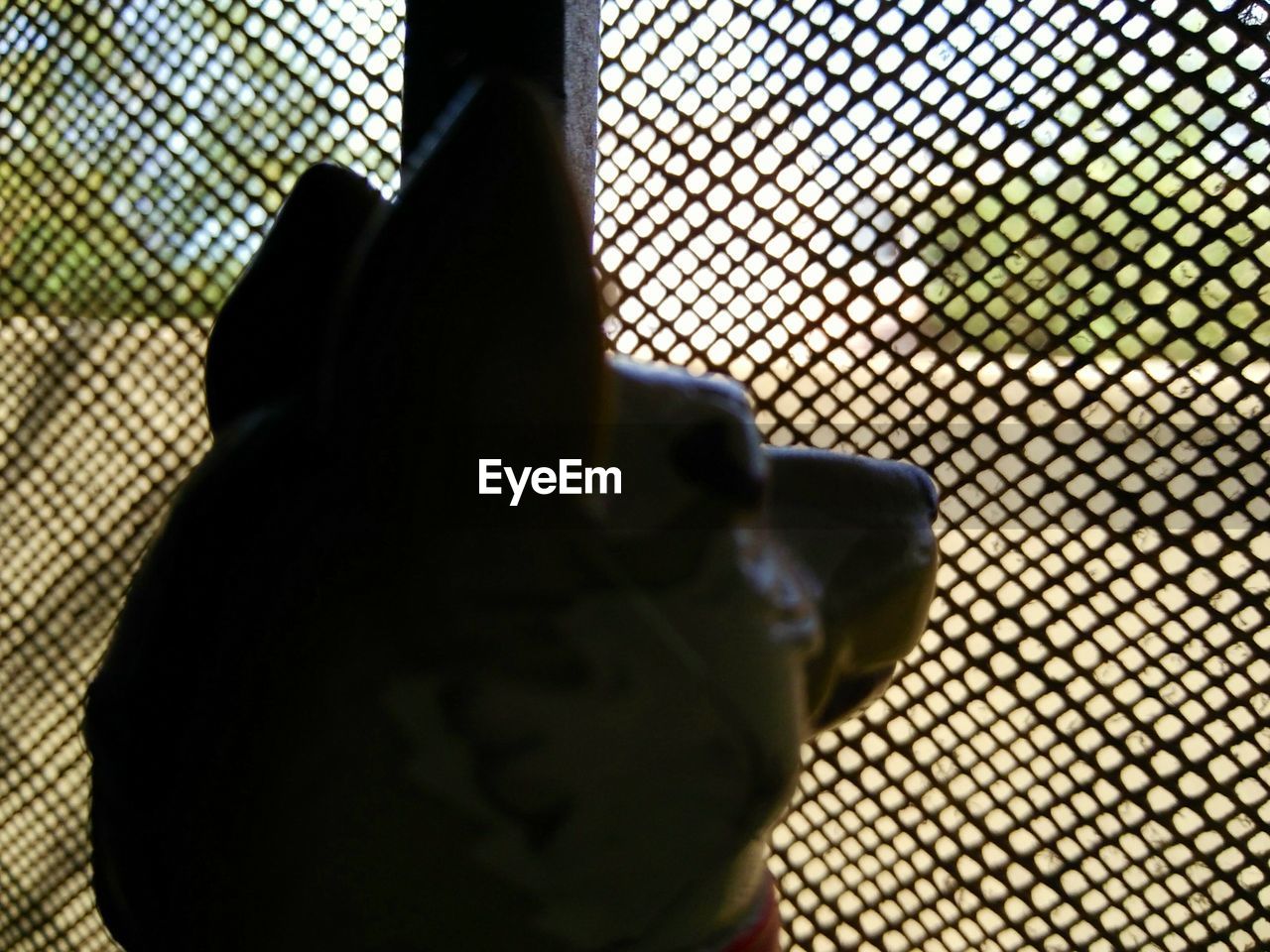 CLOSE-UP OF WOMAN HAND BY FENCE