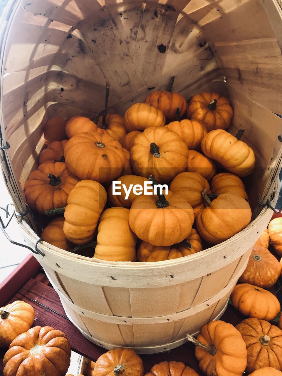 High angle view of pumpkins in basket