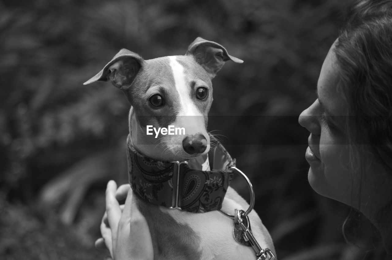 Girl and her italian greyhound looking at camera portrait, in black and white