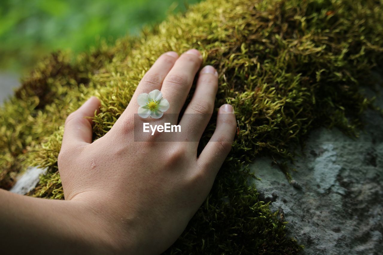 Cropped hand on moss growing on tree trunk