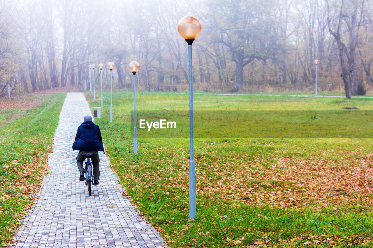 A man rides a bicycle in the park on an autumn morning