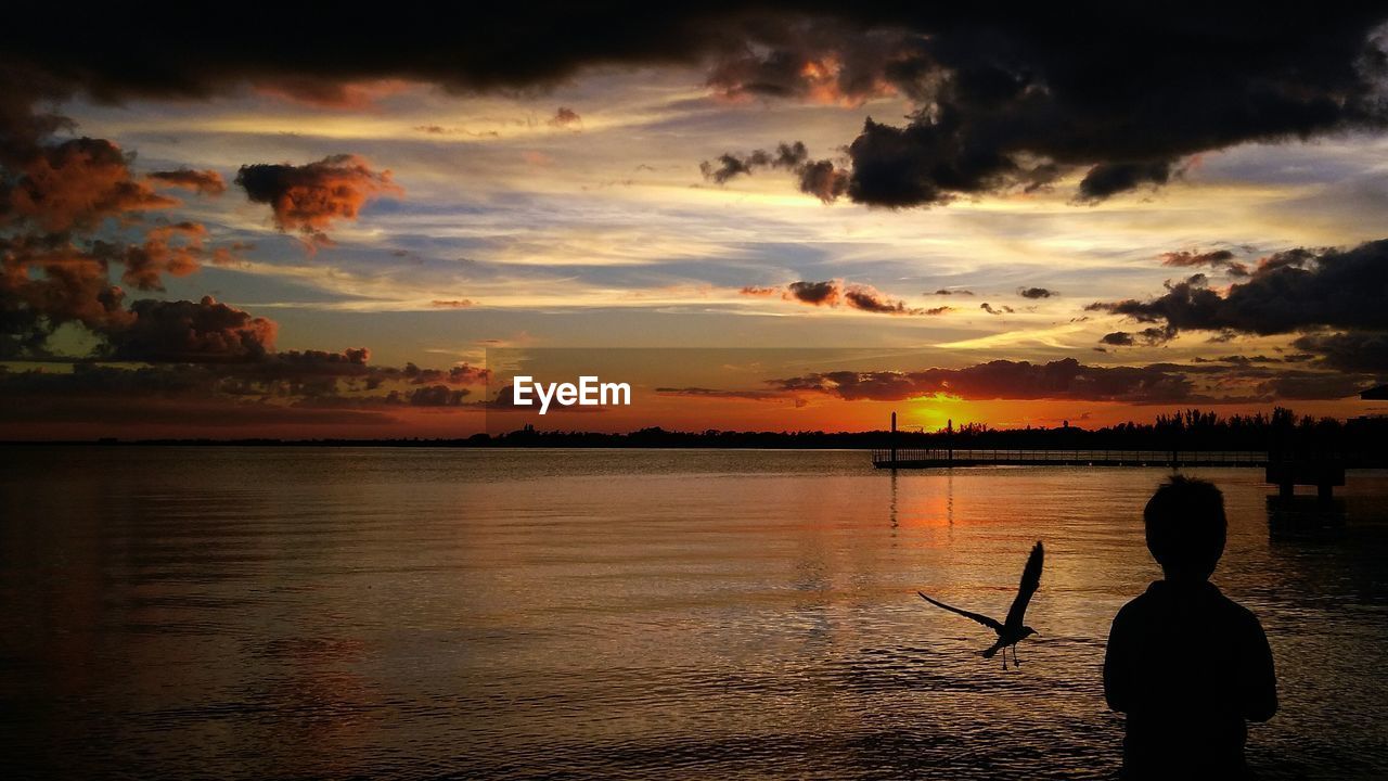 Rear view of silhouette boy at beach against sky during sunset