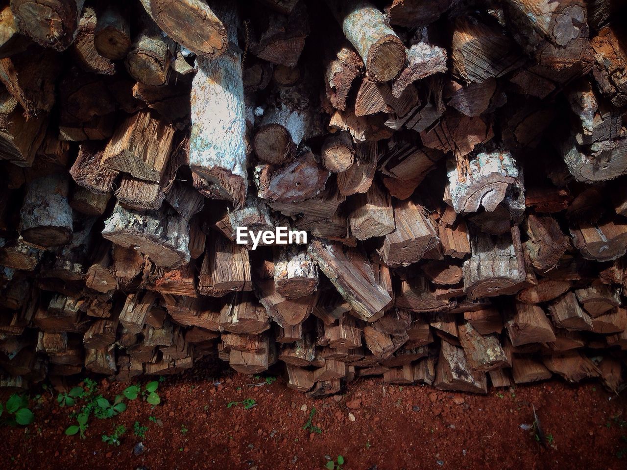 High angle view of logs