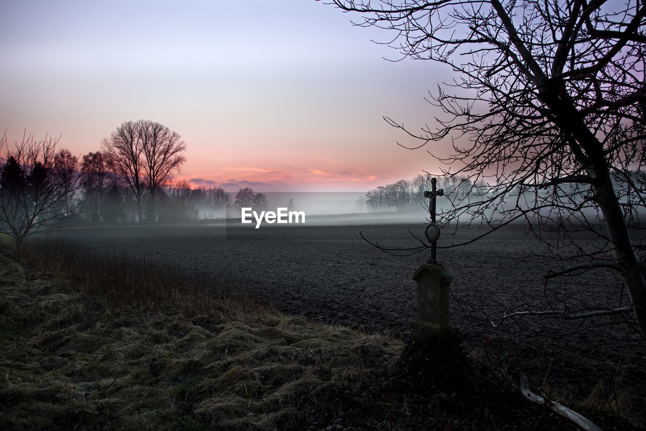 Bare trees on field against sky during sunset