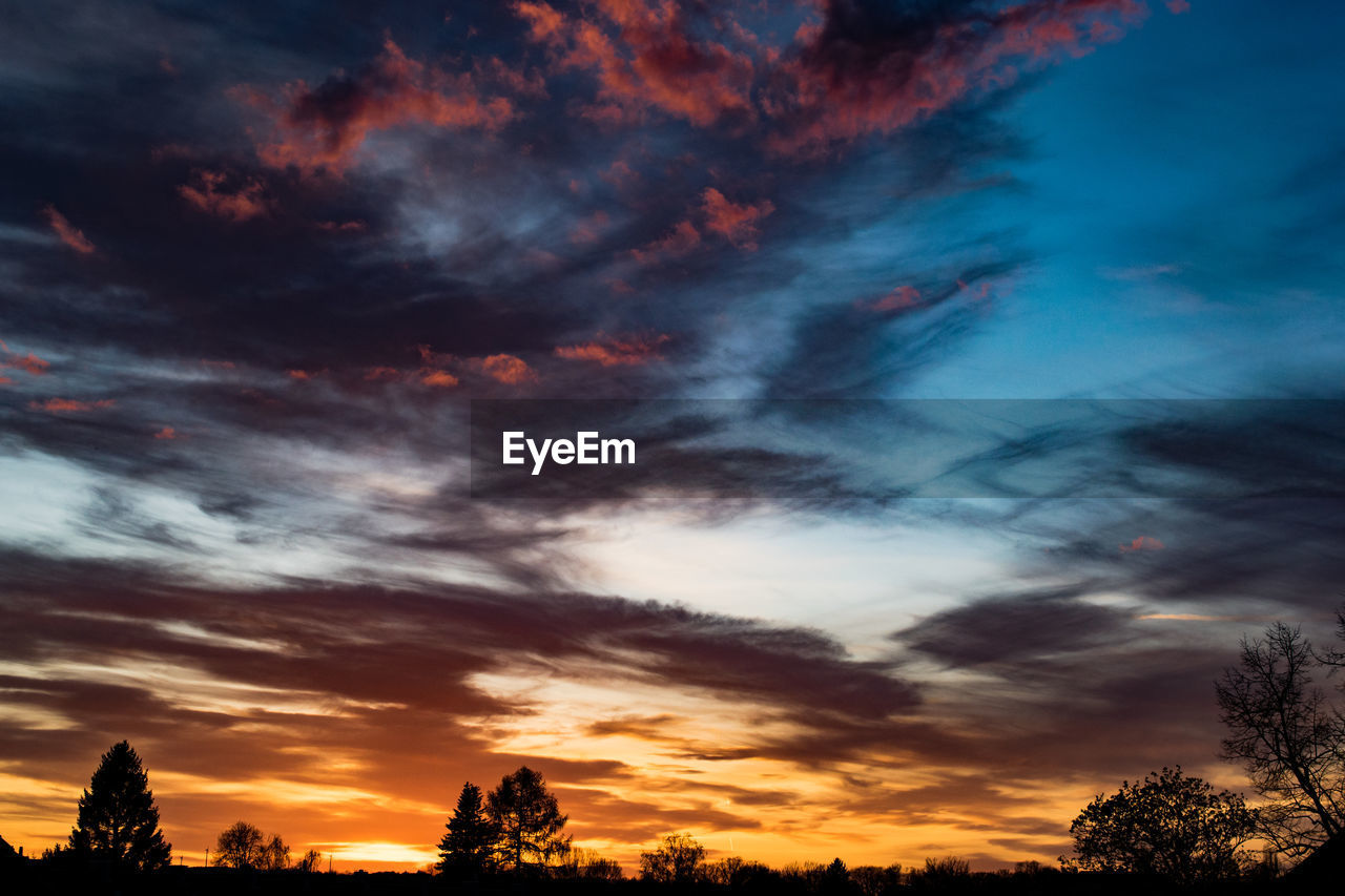 Low angle view of silhouette trees against dramatic sky