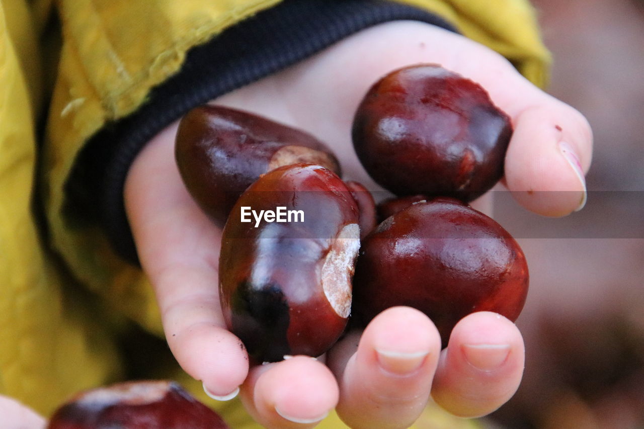 CLOSE-UP OF PERSON HAND HOLDING FRUIT