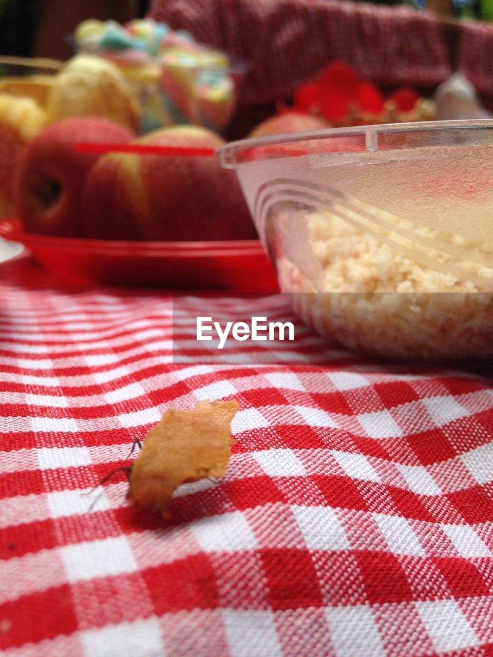 checked pattern, tablecloth, food and drink, indoors, red, food, no people, table, close-up, day, freshness