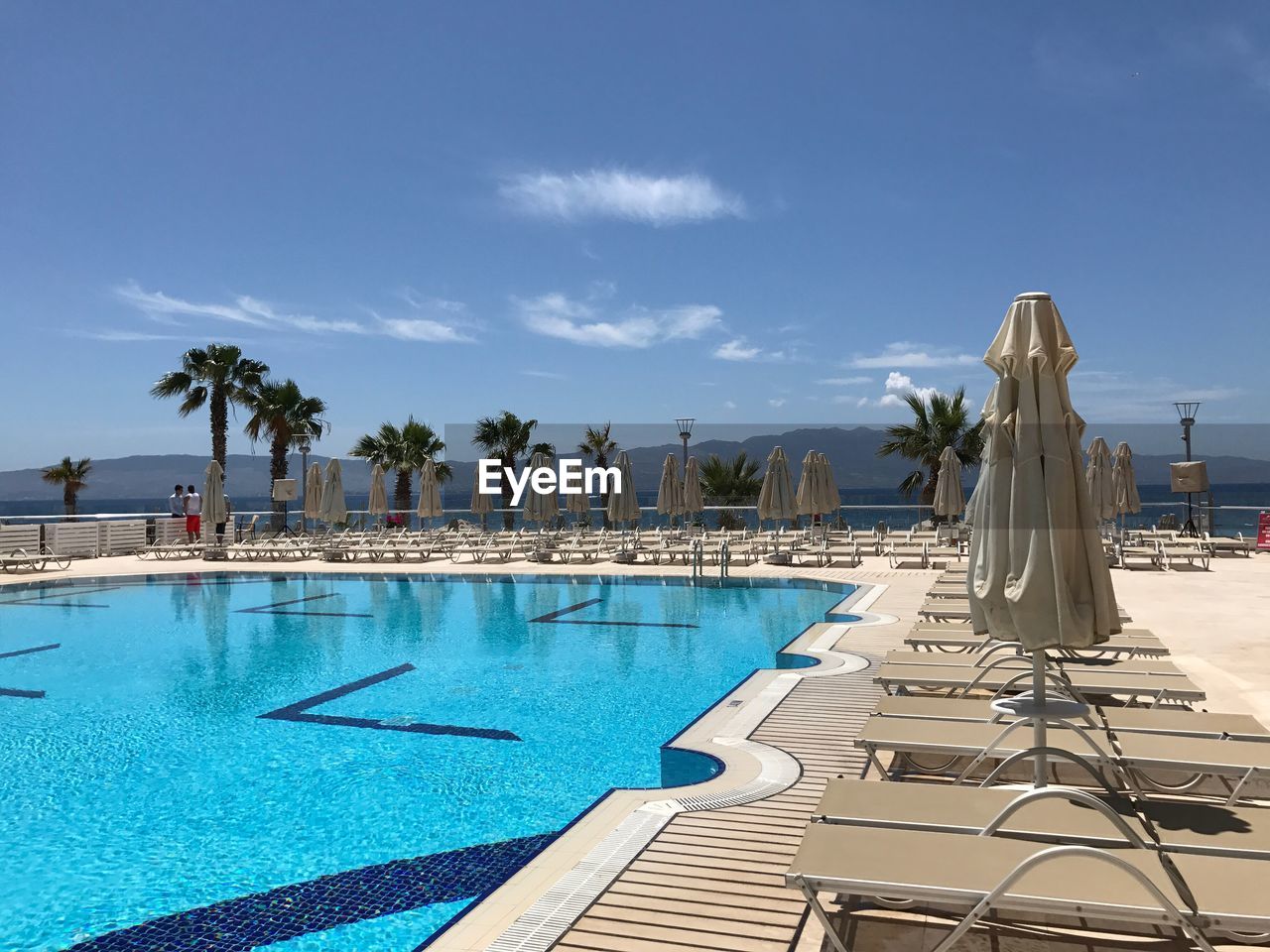 Swimming pool by palm trees against blue sky