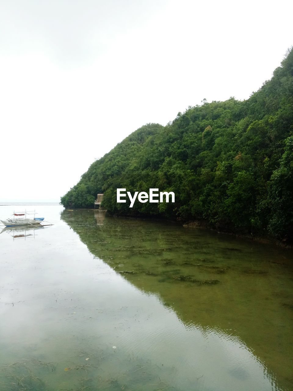 SCENIC VIEW OF RIVER BY TREES AGAINST CLEAR SKY