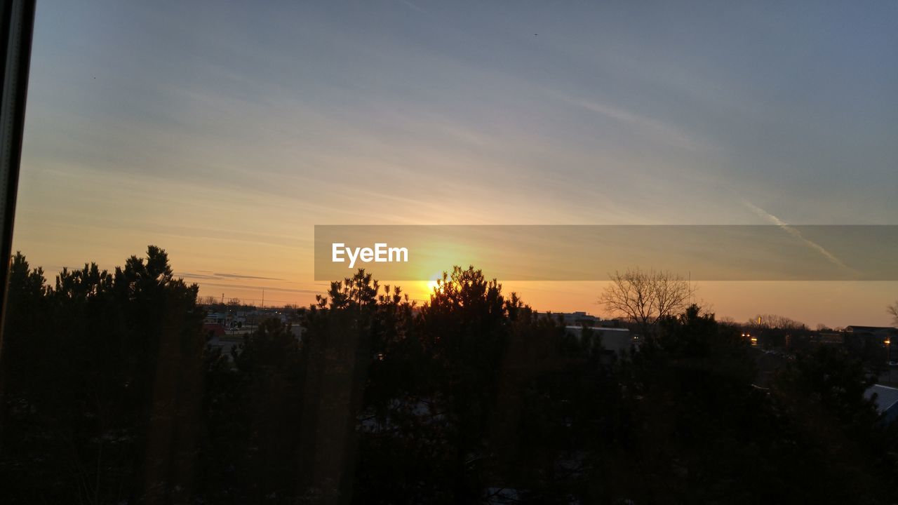 PANORAMIC SHOT OF TREES AGAINST SKY