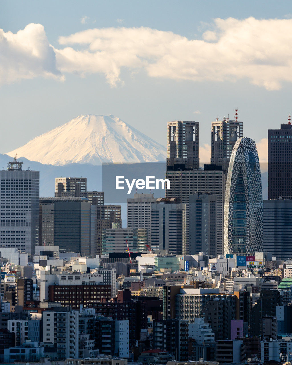 Cityscape of tokyo against sky with mt fuji in the background. 