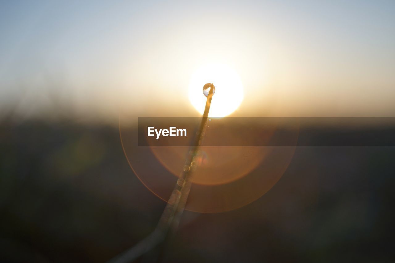 Close-up of water drop on plant against sky during sunset