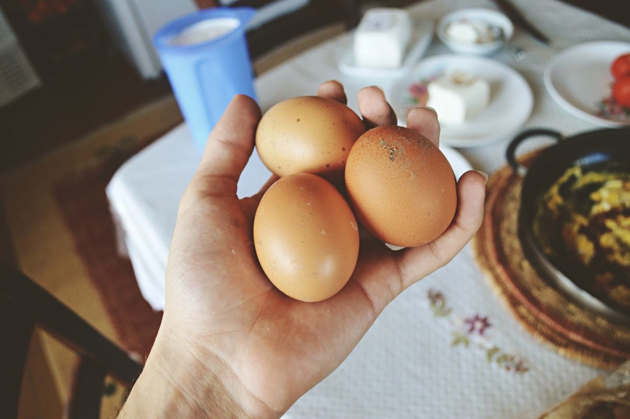 Cropped image of hand holding eggs