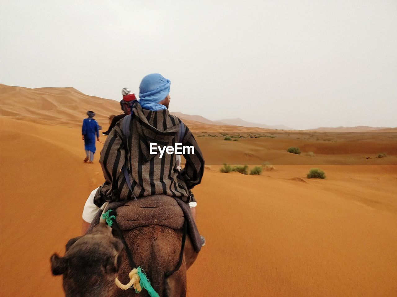 Man riding camel on desert against sky